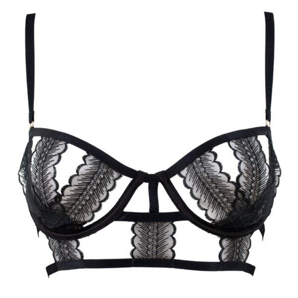 Victoria's Secret NWT/NEVER WORN Bluebella Ornella Scallop Lace Bra !Sexy Chic!